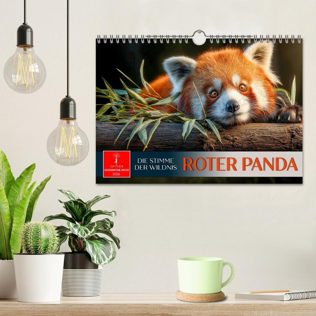 Weitere Ansicht: Roter Panda - die Stimme der Wildnis (Wandkalender 2026 DIN A4 quer), CALVENDO Monatskalender | Calvendo, Peter Roder