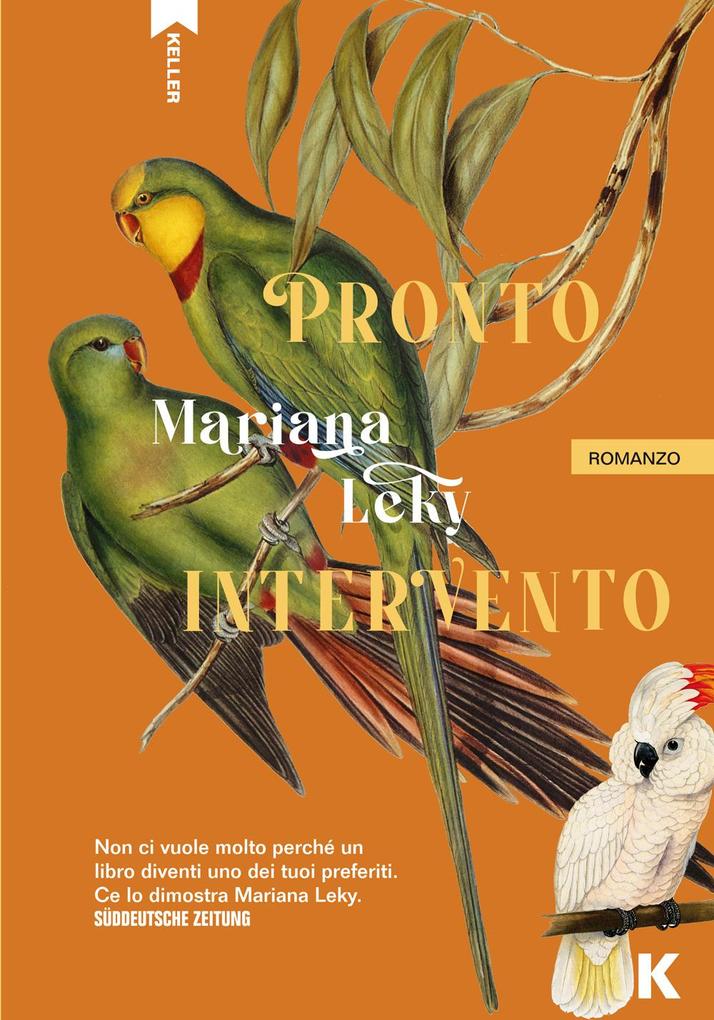 Produktbild: Pronto intervento | Mariana Leky