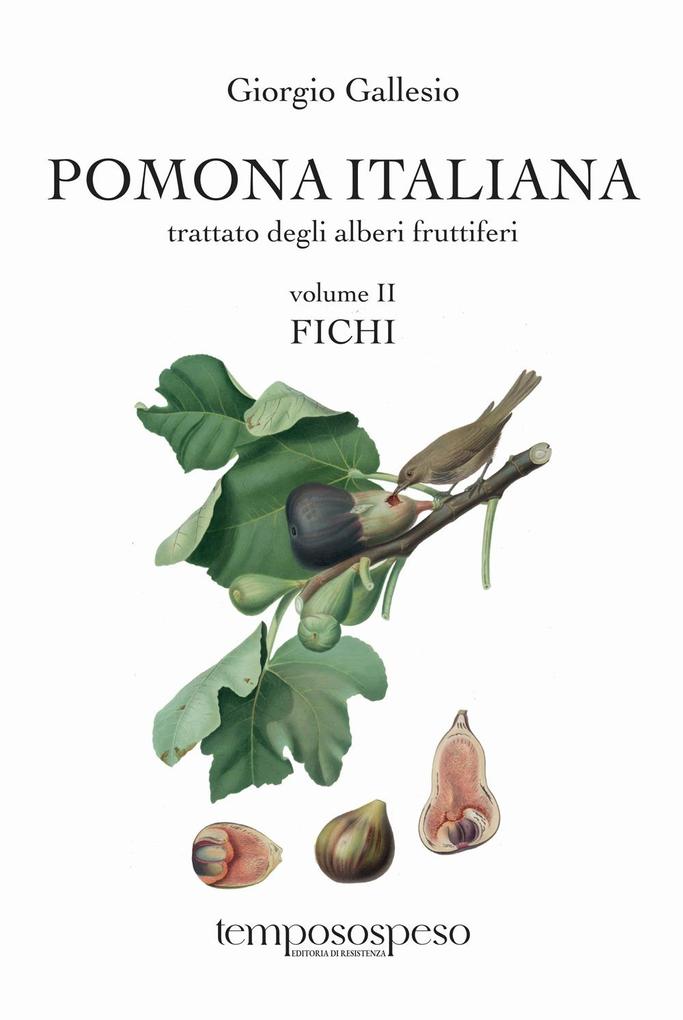 Produktbild: Fichi | Giorgio Gallesio
