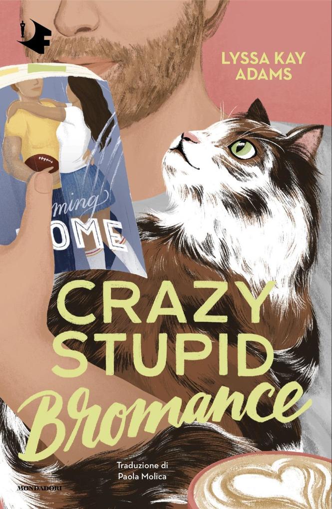 Produktbild: Crazy stupid bromance | Lyssa Kay Adams