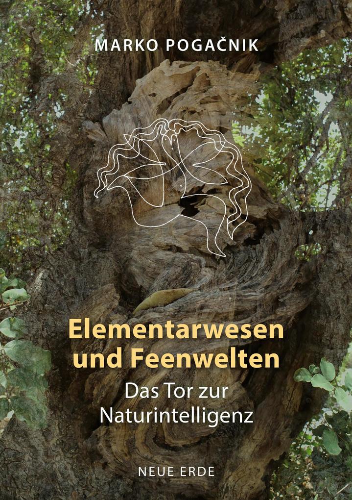 Produktbild: Elementarwesen und Feenwelten | Marko Pogacnik
