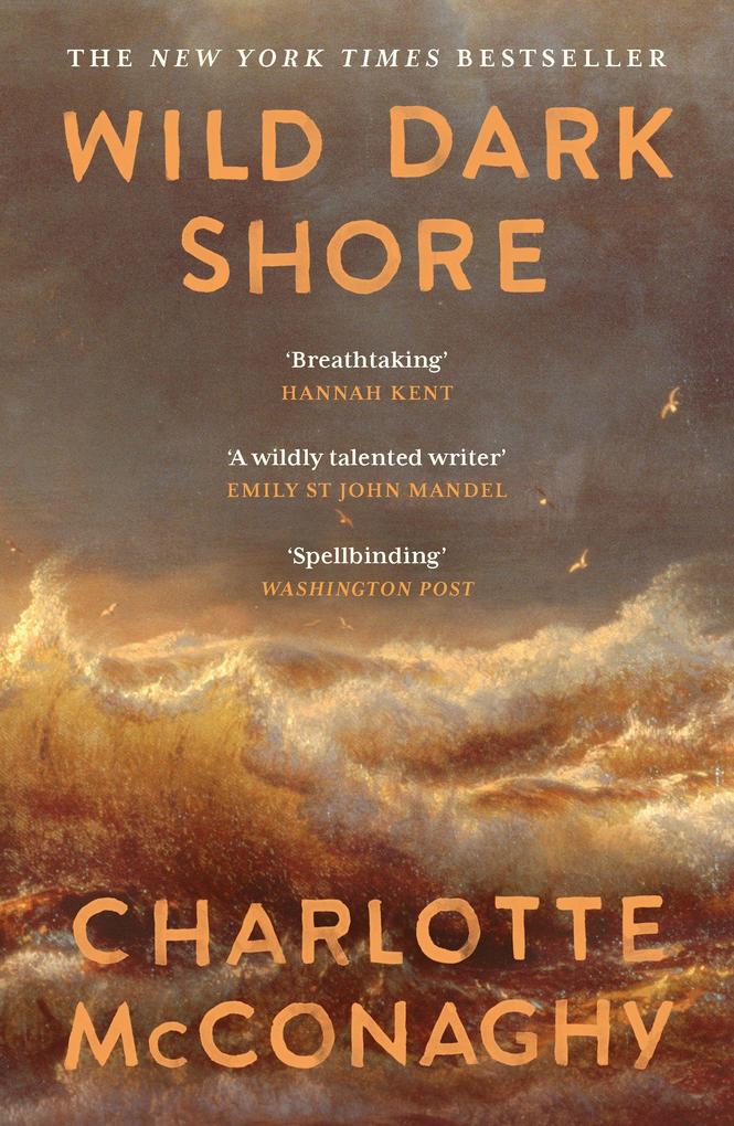 Produktbild: Wild Dark Shore | Charlotte McConaghy