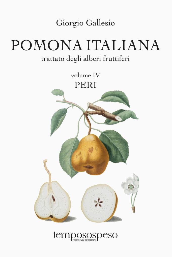 Produktbild: Peri | Giorgio Gallesio