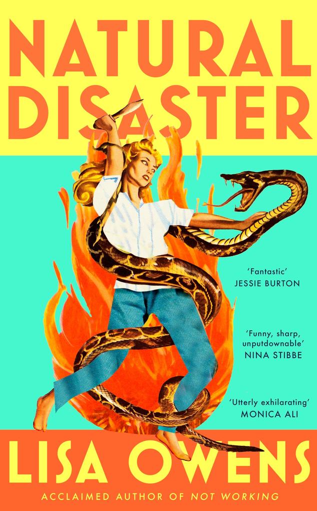 Produktbild: Natural Disaster | Lisa Owens
