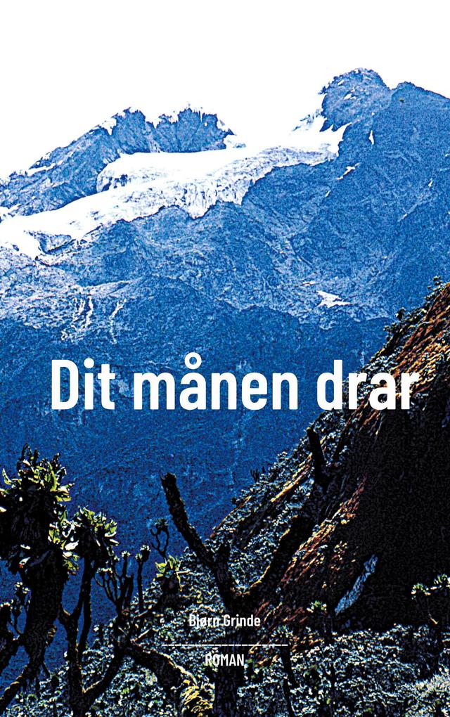 Produktbild: Dit månen drar | Bjørn Grinde