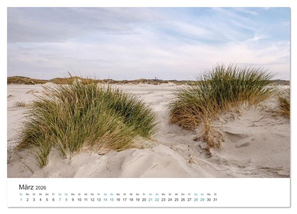 Weitere Ansicht: Amrum: Natur und Freiheit (Wandkalender 2026 DIN A3 quer), CALVENDO Monatskalender | Ralph Kerpa, Calvendo