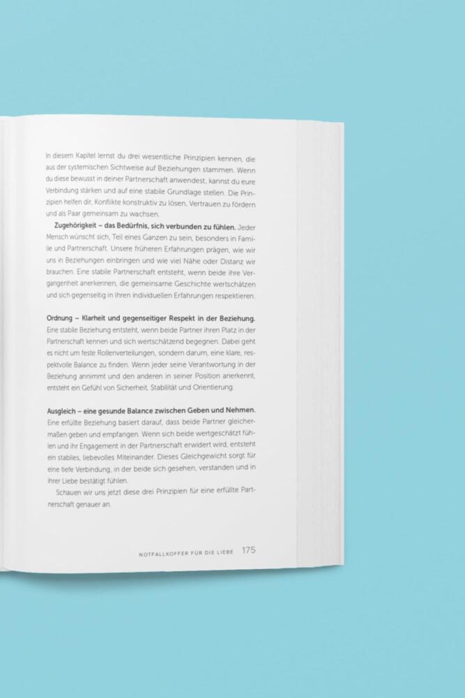 Weitere Ansicht: Notfallkoffer für die Liebe - Soforthilfe bei Beziehungskrisen | Michael Seibt