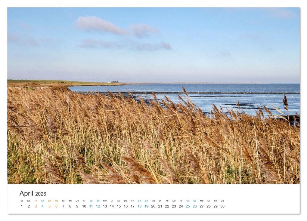 Weitere Ansicht: Amrum: Natur und Freiheit (Wandkalender 2026 DIN A4 quer), CALVENDO Monatskalender | Ralph Kerpa, Calvendo