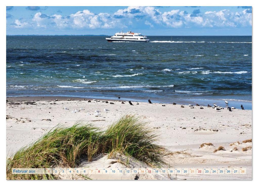 Weitere Ansicht: Amrum Glücksort (Wandkalender 2026 DIN A3 quer), CALVENDO Monatskalender | Uli Geißler, Calvendo