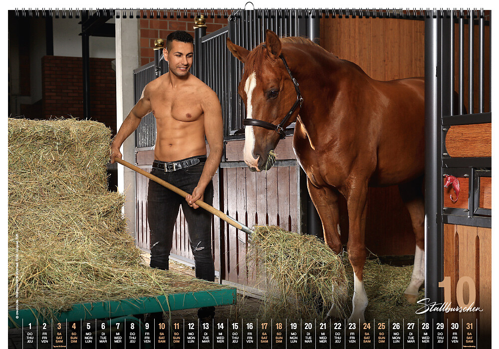Weitere Ansicht: Stallburschen 2026