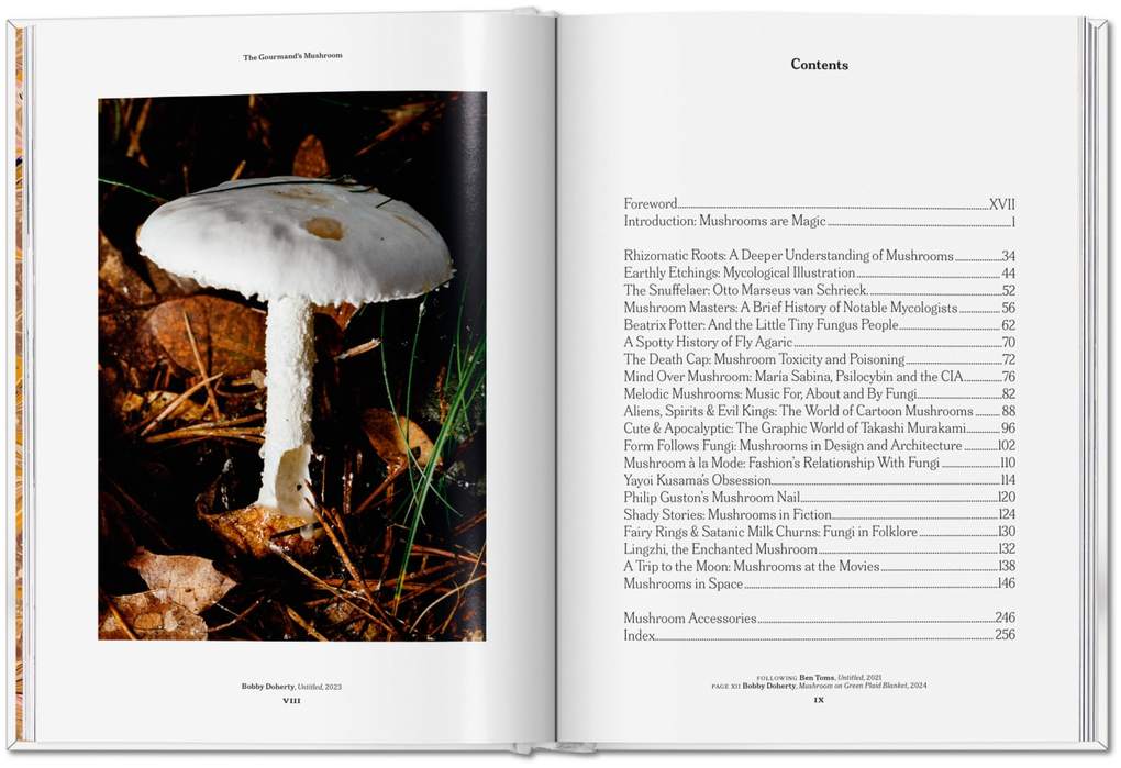 Weitere Ansicht: The Gourmand's Mushroom | The Gourmand