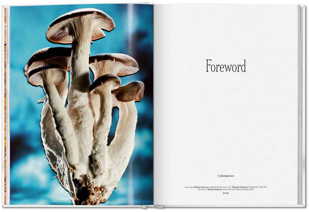 Weitere Ansicht: The Gourmand's Mushroom | The Gourmand