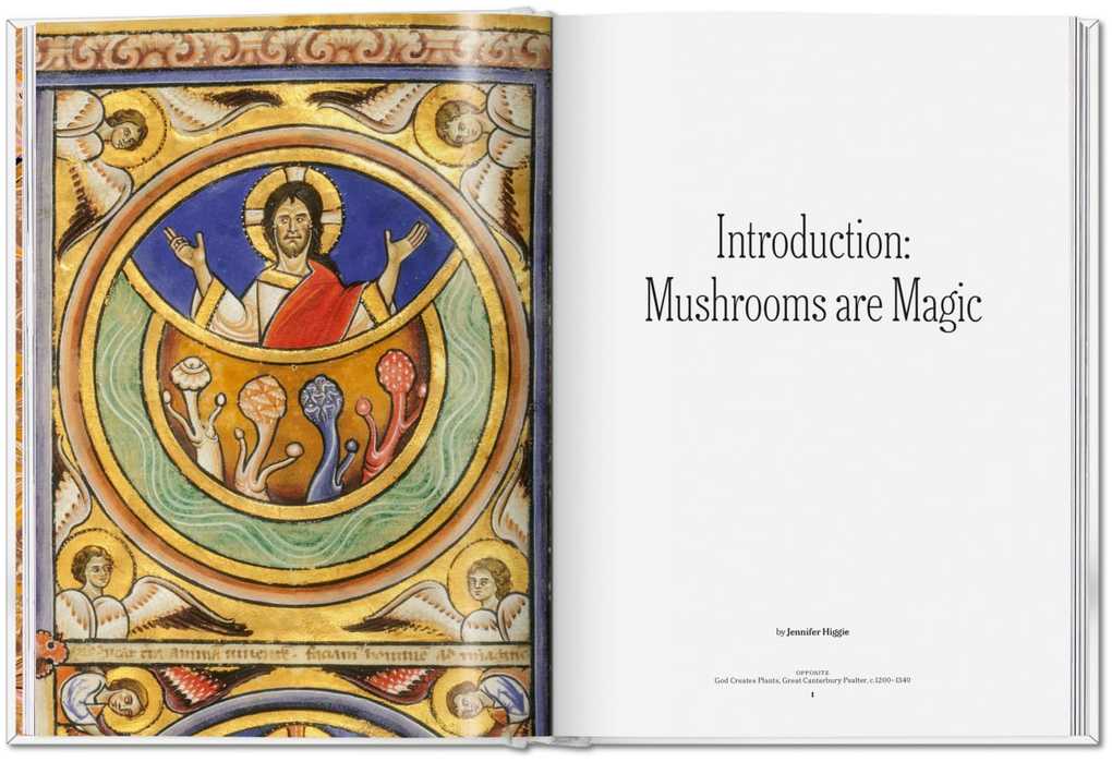 Weitere Ansicht: The Gourmand's Mushroom | The Gourmand