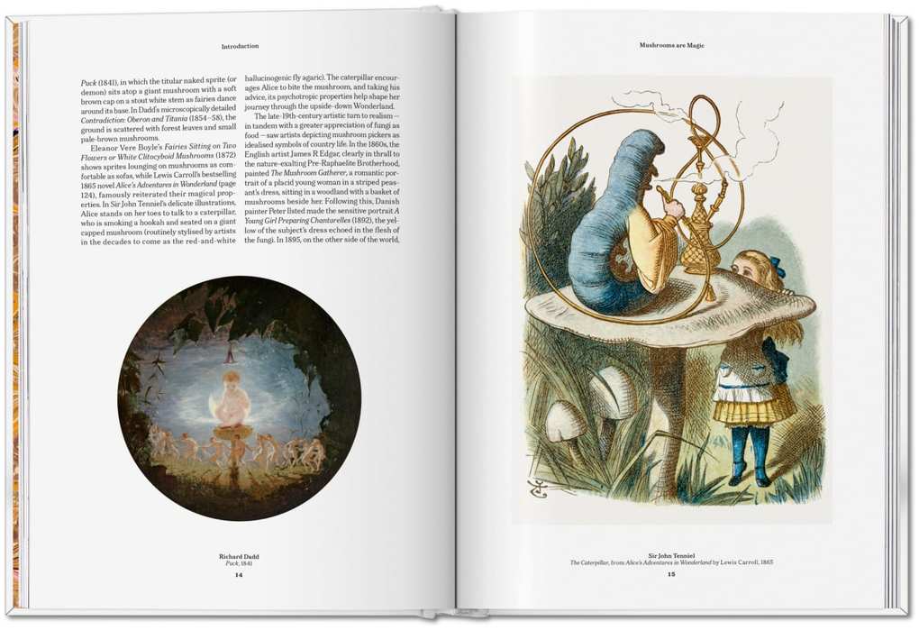 Weitere Ansicht: The Gourmand's Mushroom | The Gourmand