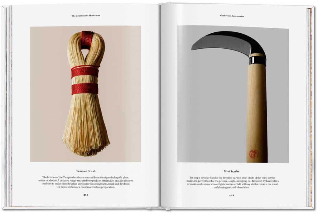 Weitere Ansicht: The Gourmand's Mushroom | The Gourmand