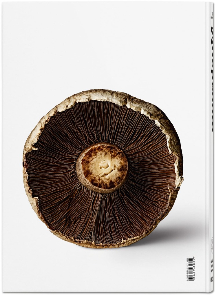 Weitere Ansicht: The Gourmand's Mushroom | The Gourmand