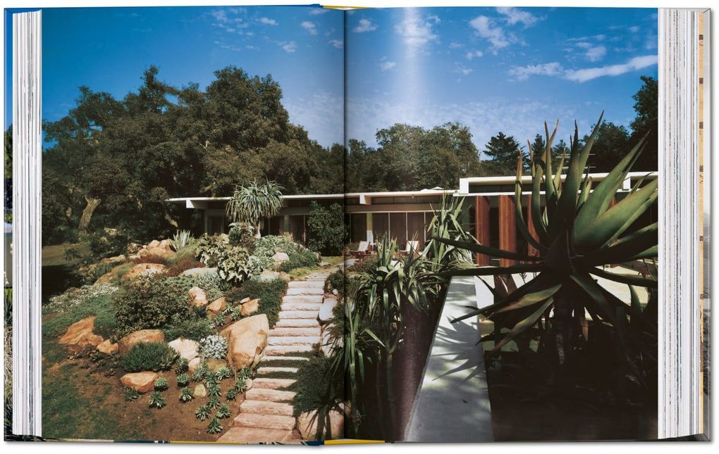Weitere Ansicht: Neutra | Barbara Lamprecht