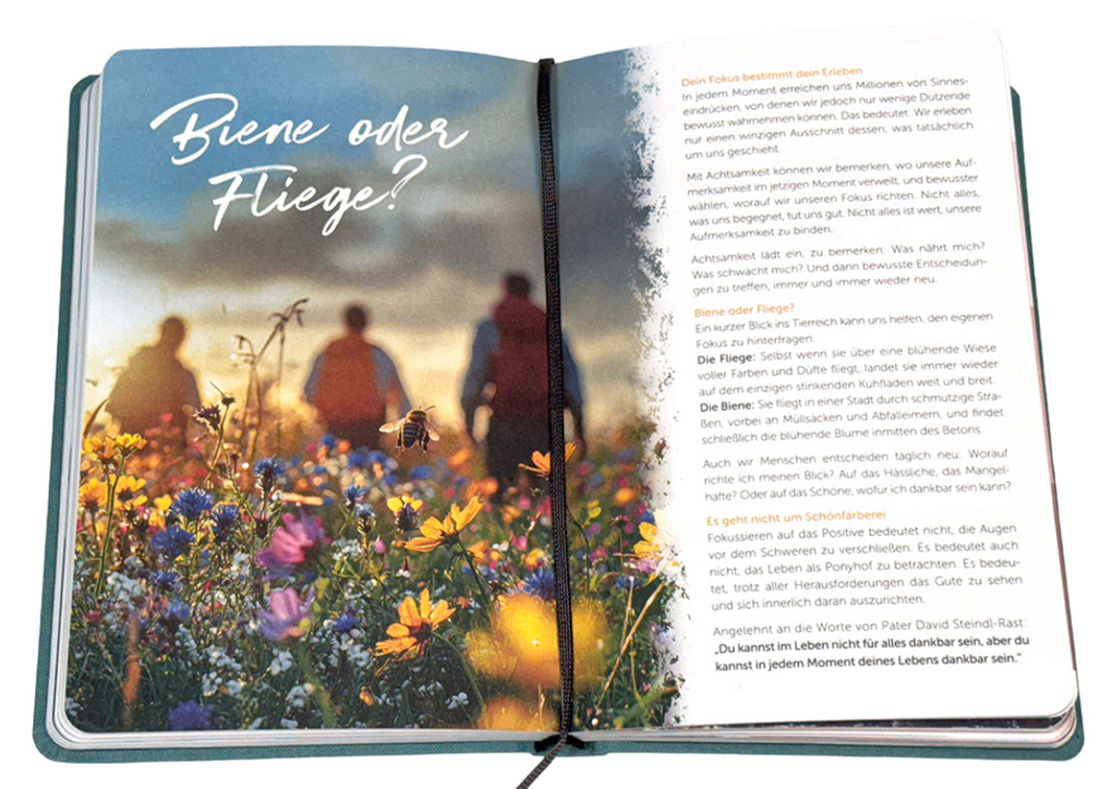 Weitere Ansicht: Mein Weg - Meine Reise | Marco Fraleoni