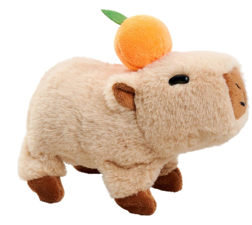 Weitere Ansicht: PetZoo Capybara
