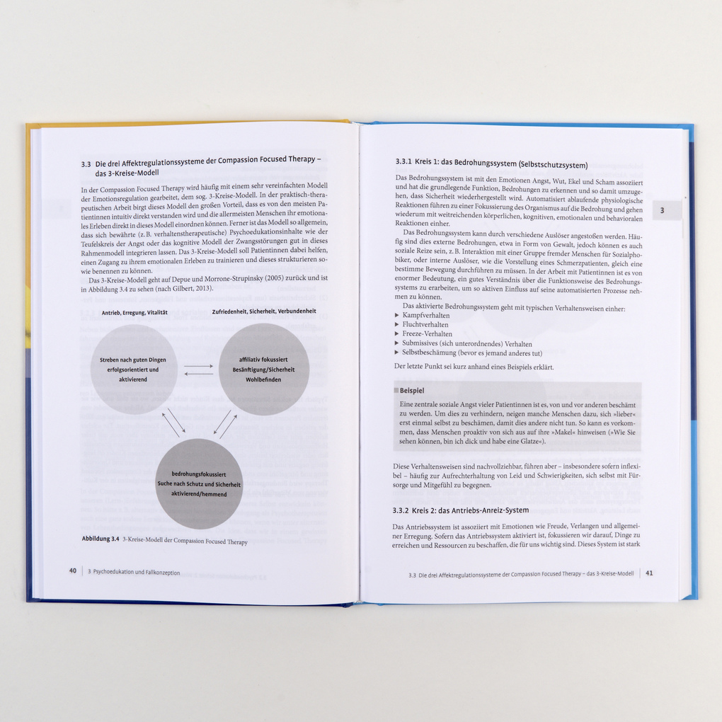 Weitere Ansicht: Compassion Focused Therapy in der Praxis | Christian Stierle