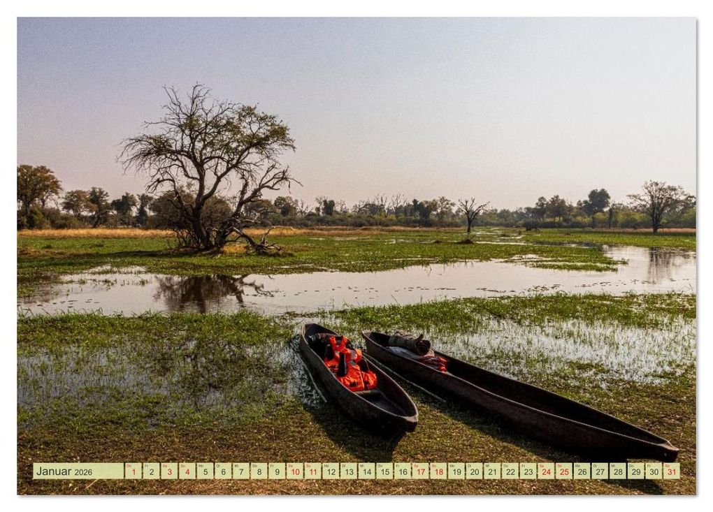 Weitere Ansicht: Das Okavango-Delta - Naturwunder im Herzen Afrikas (Tischkalender 2026 DIN A5 quer), CALVENDO Monatskalender | Carolin Eberhard @caro_goes_wild.erness, Calvendo