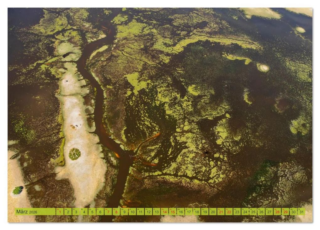 Weitere Ansicht: Das Okavango-Delta - Naturwunder im Herzen Afrikas (Tischkalender 2026 DIN A5 quer), CALVENDO Monatskalender | Carolin Eberhard @caro_goes_wild.erness, Calvendo