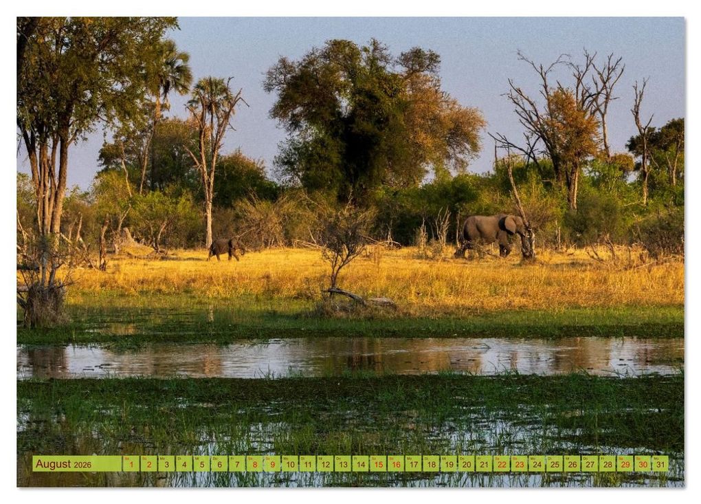 Weitere Ansicht: Das Okavango-Delta - Naturwunder im Herzen Afrikas (Tischkalender 2026 DIN A5 quer), CALVENDO Monatskalender | Carolin Eberhard @caro_goes_wild.erness, Calvendo