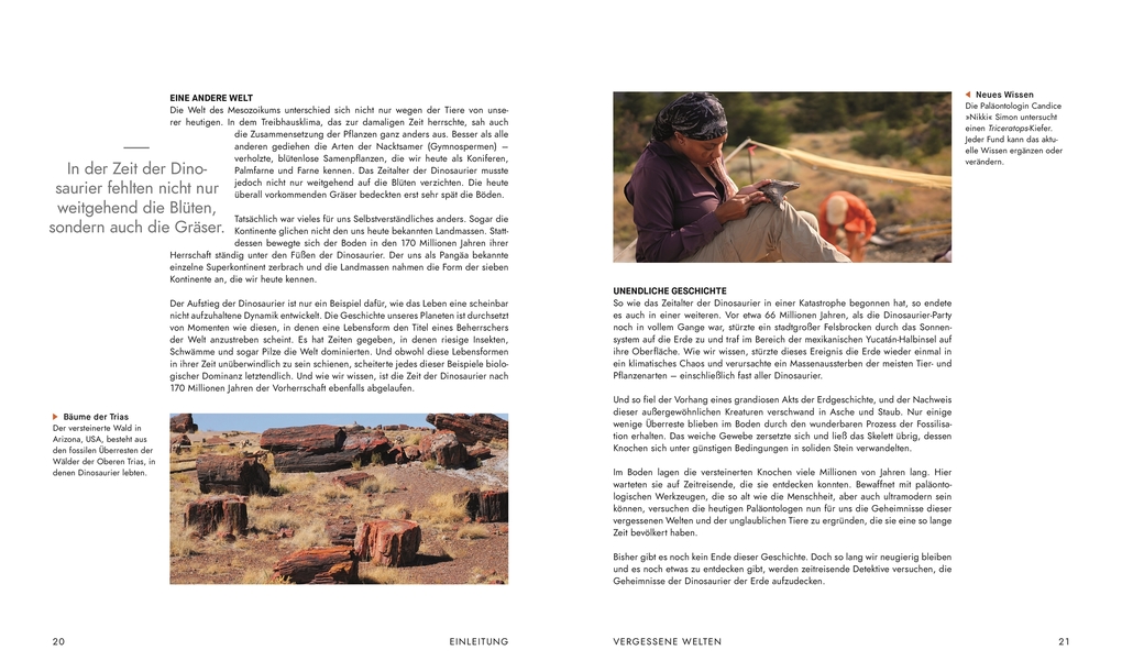 Weitere Ansicht: Unter Dinos - Geheimnisse der Urzeit | Andrew Cohen, Helen Thomas, Kirsty Wilson