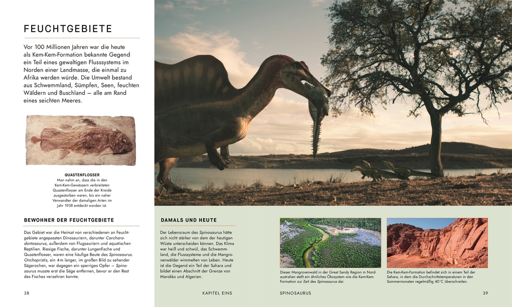 Weitere Ansicht: Unter Dinos - Geheimnisse der Urzeit | Andrew Cohen, Helen Thomas, Kirsty Wilson