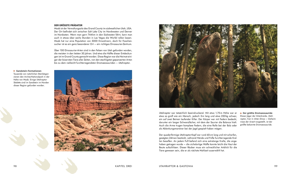 Weitere Ansicht: Unter Dinos - Geheimnisse der Urzeit | Andrew Cohen, Helen Thomas, Kirsty Wilson