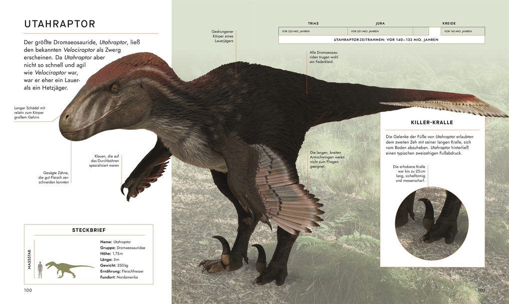 Weitere Ansicht: Unter Dinos - Geheimnisse der Urzeit | Andrew Cohen, Helen Thomas, Kirsty Wilson