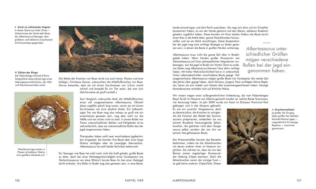 Weitere Ansicht: Unter Dinos - Geheimnisse der Urzeit | Andrew Cohen, Helen Thomas, Kirsty Wilson