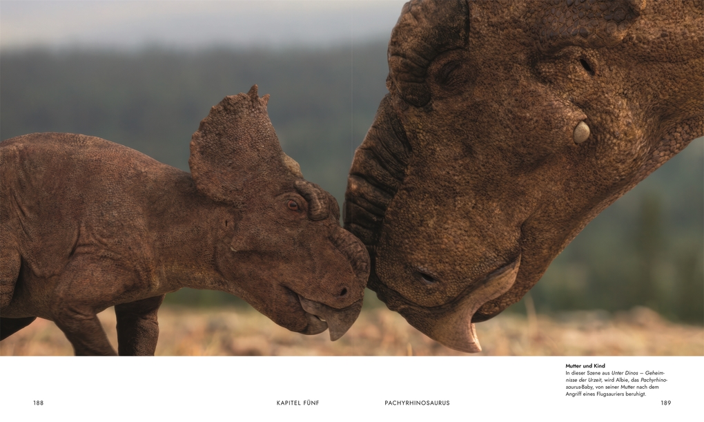 Weitere Ansicht: Unter Dinos - Geheimnisse der Urzeit | Andrew Cohen, Helen Thomas, Kirsty Wilson