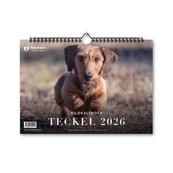 Produktbild: Teckel 2026