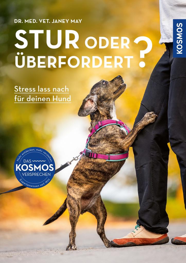 Produktbild: Stur oder überfordert? | Janey May