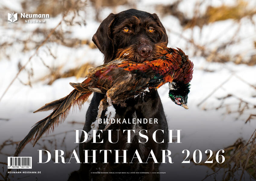 Produktbild: Deutsch Drahthaar 2026