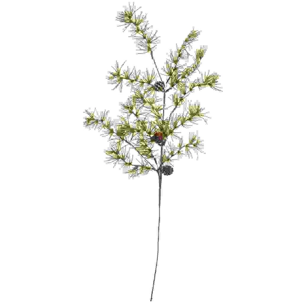 Produktbild: Lärchenzweig mit Zapfen 68cm