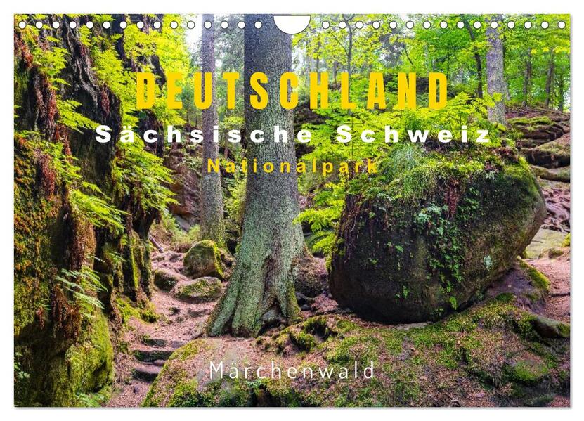 Produktbild: DEUTSCHLAND, Sächsische Schweiz Nationalpark, Märchenwald (Wandkalender 2026 DIN A4 quer), CALVENDO Monatskalender | Oleg Senkov, Calvendo