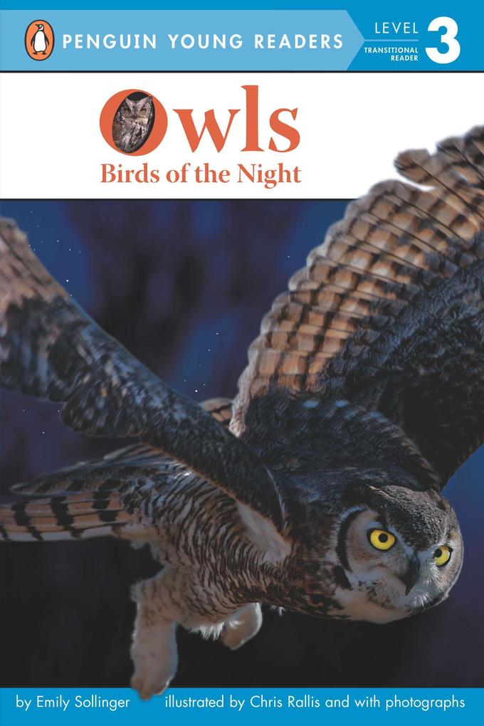 Produktbild: Owls | Emily Sollinger