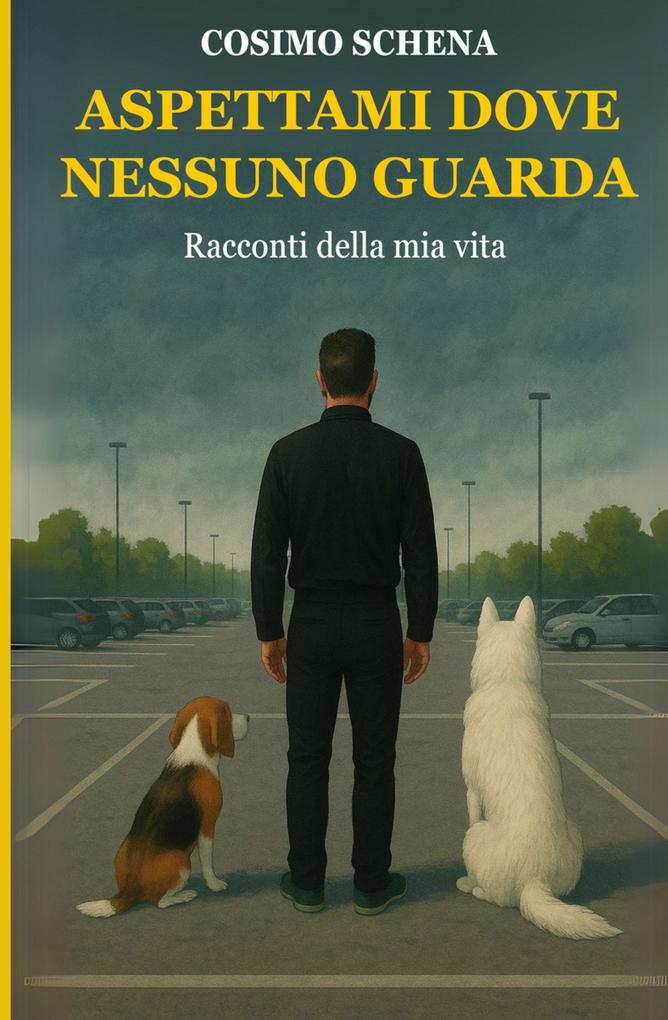 Produktbild: Aspettami dove nessuno guarda | Cosimo Schena