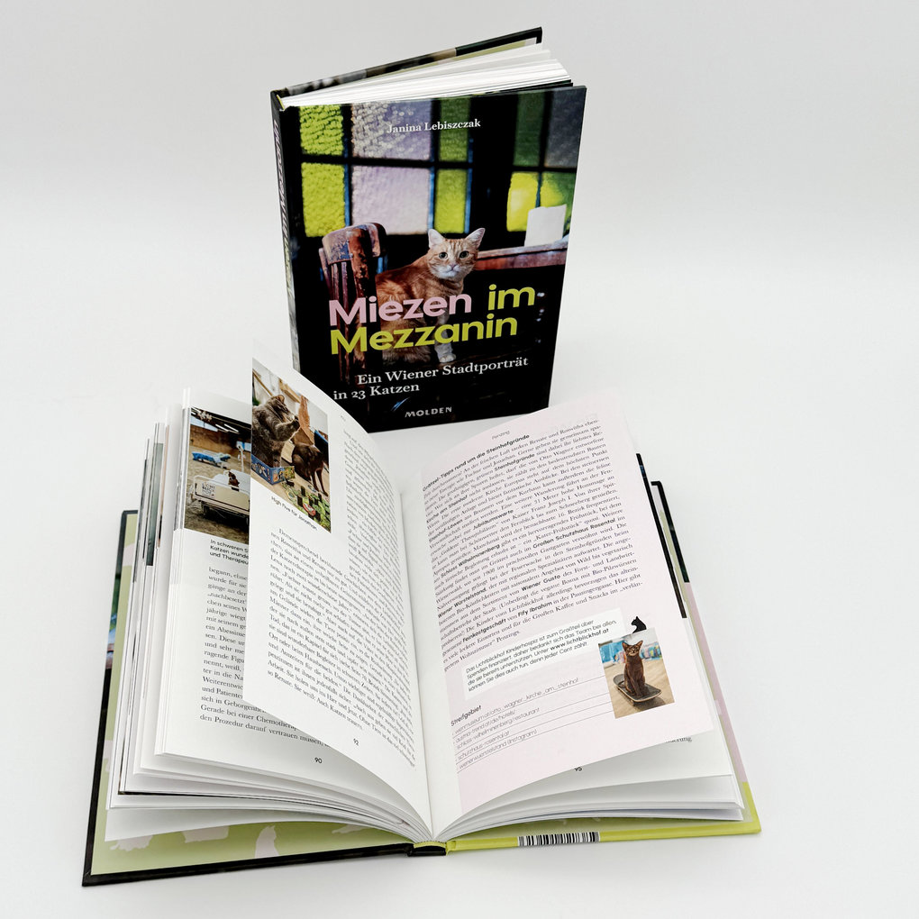 Weitere Ansicht: Miezen im Mezzanin | Janina Lebiszczak