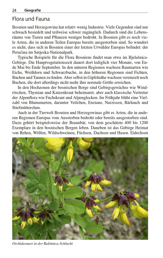 Weitere Ansicht: TRESCHER Reiseführer Bosnien und Herzegowina | Matthias Jacob, Marko Plešnik, Marko Plenik