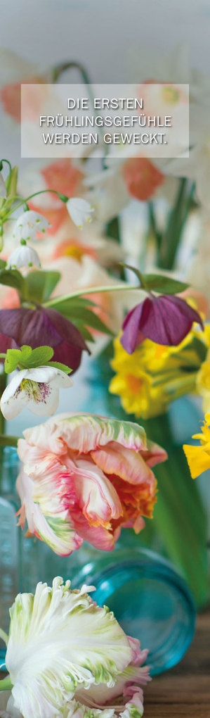 Weitere Ansicht: LZ Glücksmomente 2026