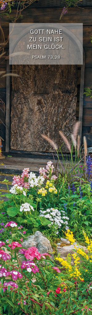 Weitere Ansicht: LZ Gedanken aus der Bibel 2026