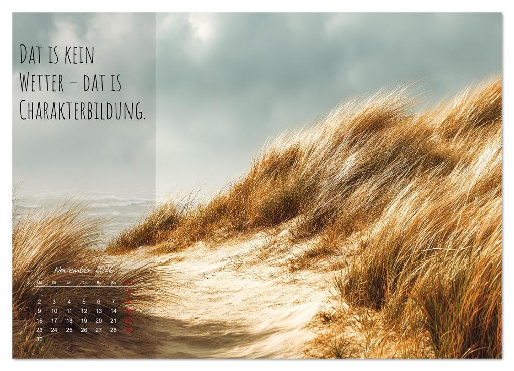 Weitere Ansicht: Moin Moin ist schon gesabbel - Norddeutscher Sprüche-Kalender (Wandkalender 2026 DIN A3 quer), CALVENDO Monatskalender | MB Fotografie, Calvendo