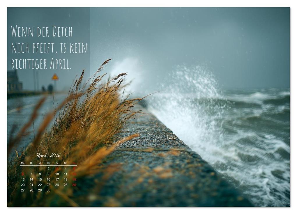 Weitere Ansicht: Moin Moin ist schon gesabbel - Norddeutscher Sprüche-Kalender (Wandkalender 2026 DIN A3 quer), CALVENDO Monatskalender | MB Fotografie, Calvendo