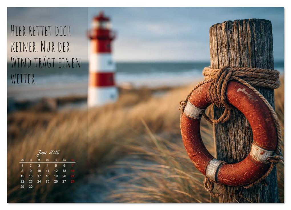Weitere Ansicht: Moin Moin ist schon gesabbel - Norddeutscher Sprüche-Kalender (Wandkalender 2026 DIN A3 quer), CALVENDO Monatskalender | MB Fotografie, Calvendo