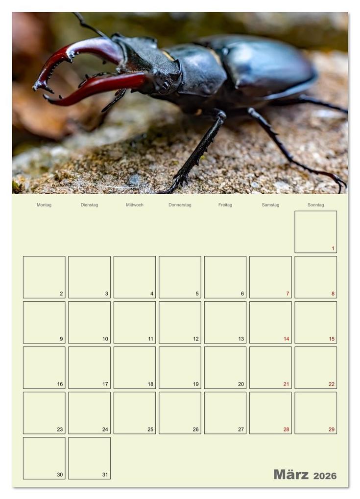 Weitere Ansicht: Harzwanderung zu den Ilsefällen - Terminplaner (Wandkalender 2026 DIN A4 hoch), CALVENDO Monatskalender | Holger Felix, Calvendo