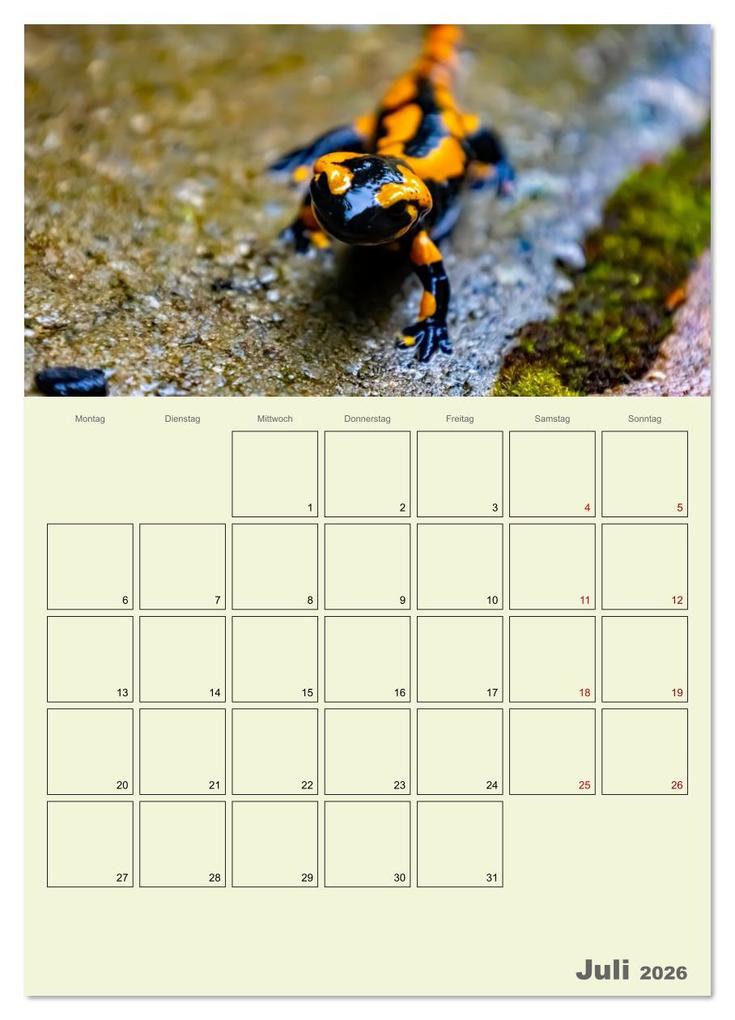 Weitere Ansicht: Harzwanderung zu den Ilsefällen - Terminplaner (Wandkalender 2026 DIN A4 hoch), CALVENDO Monatskalender | Holger Felix, Calvendo