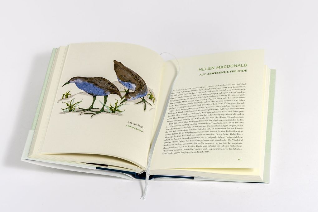 Weitere Ansicht: Wir dachten, wir könnten fliegen